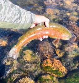 Fishing in Hume, California