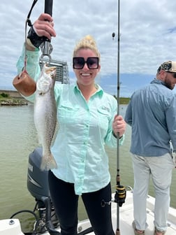 Speckled Trout Fishing in Galveston, Texas