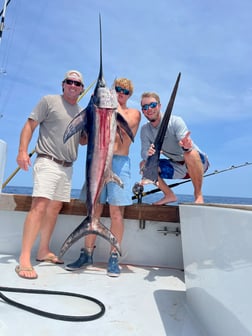 Swordfish Fishing in Destin, Florida