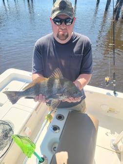 Redfish Fishing in Mount Pleasant, South Carolina