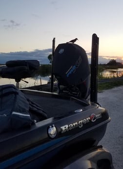 Peacock Bass Fishing in Fort Lauderdale, Florida