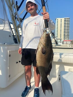 Fishing in Pensacola, Florida