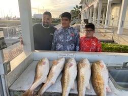 Flounder Fishing in Galveston, Texas