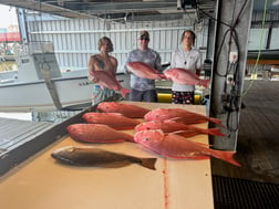 Red Snapper, Redfish Fishing in Buras, Louisiana