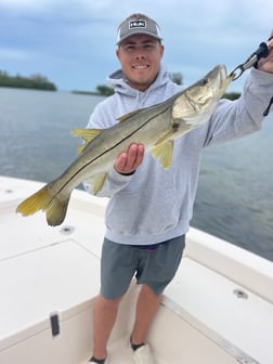 Kingfish Fishing in Sarasota, Florida