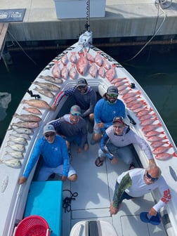 Red Snapper Fishing in Clearwater, Florida