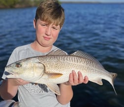 Black Drum Fishing in Cape Coral, Florida