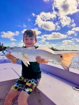 Fishing in Sarasota, Florida