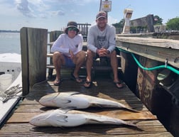 Cobia fishing in Virginia Beach, Virginia