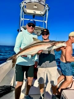 Fishing in Sarasota, Florida