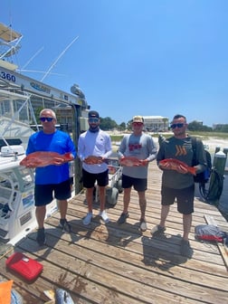 Red Snapper Fishing in Pensacola, Florida