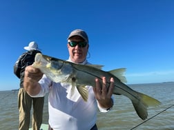 Mangrove Snapper Fishing in Homestead, Florida