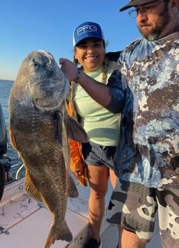 Black Drum Fishing in Galveston, Texas