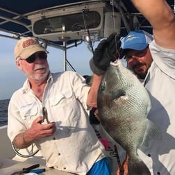 Triggerfish Fishing in Destin, Florida