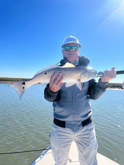 Redfish Fishing in Mount Pleasant, South Carolina