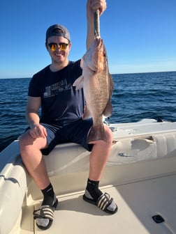 Fishing in Destin, Florida