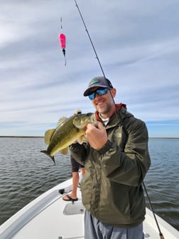 Redfish, Sheepshead, Speckled Trout / Spotted Seatrout Fishing in Yscloskey, Louisiana