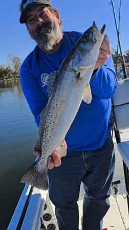 Fishing in Crawfordville, Florida