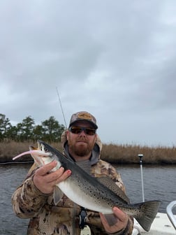 Fishing in Beaufort, North Carolina