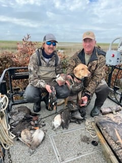 Northern Pintail Fishing in Port Aransas, Texas