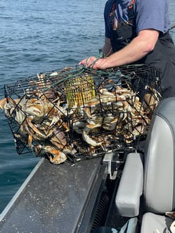 Black Seabass, Blackbelly Rosefish, Lingcod Fishing in Garibaldi, Oregon