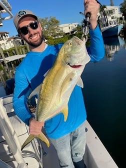 Florida Pompano, Sheepshead Fishing in Sarasota, Florida