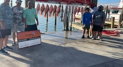 False Albacore, Kingfish, Red Snapper Fishing in Port Aransas, Texas