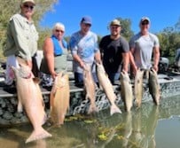 Chinook Salmon Fishing in Anderson, California