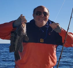 Sheepshead Fishing in Mount Pleasant, South Carolina