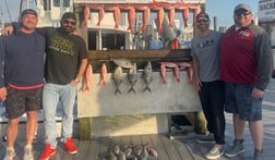 Almaco Jack, Little Tunny / False Albacore, Vermillion Snapper Fishing in Destin, Florida