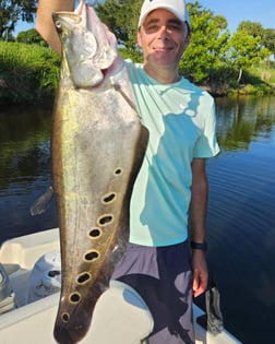 Fishing in Delray Beach, Florida