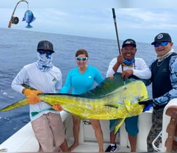 Mahi Mahi / Dorado fishing in Cabo San Lucas, Baja California Sur