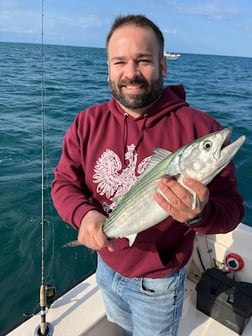 Bonito Fishing in Beaufort, North Carolina