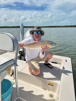 Snook Fishing in Naples, Florida