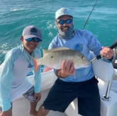 Mangrove Snapper Fishing in Tavernier, Florida