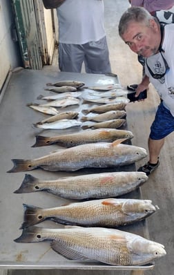 Bream, Redfish, Speckled Trout / Spotted Seatrout fishing in Dickinson, Texas