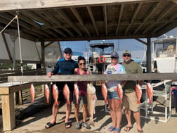 Red Snapper, Redfish Fishing in South Padre Island, Texas