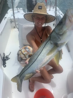 Redfish fishing in Sarasota, Florida