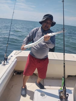 Redfish fishing in Hatteras, North Carolina