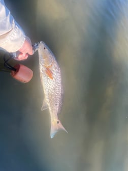 Fishing in Aransas Pass, Texas