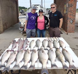 Hybrid Striped Bass Fishing in Runaway Bay, Texas