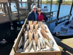 Fishing in New Orleans, Louisiana