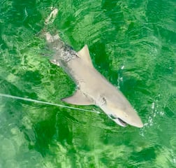 Fishing in Key West, Florida