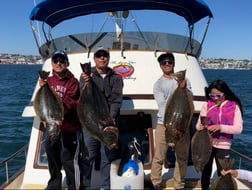 Halibut Fishing in San Diego, California