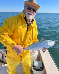 Little Tunny / False Albacore Fishing in Jacksonville, Florida