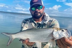 Tarpon Fishing in Tavernier, Florida