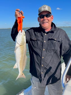 Speckled Trout / Spotted Seatrout Fishing in Galveston, Texas