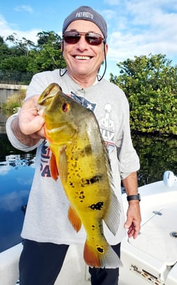 Peacock Bass Fishing in Delray Beach, Florida