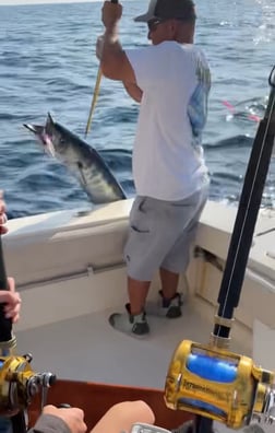 Mahi Mahi / Dorado fishing in Virginia Beach, Virginia