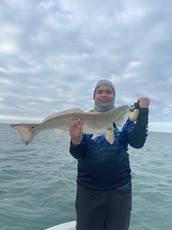 Fishing in South Padre Island, Texas